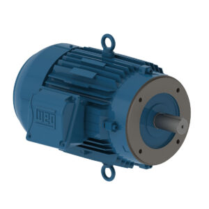 Motor 0,5 Cv Cdin 4 Pls  Ir3 220/380/440v Weg
