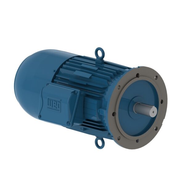 Motofreio 5 Cv Ff 4 Pls IR3 220/380/440  Tensão 220 V Weg