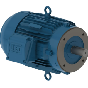 Motor 1,5 Cv Cdin 4 Pls  Ir3 220/380V Weg 11951137